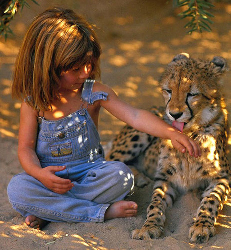Tippi nay đã trưởng thành và vẫn dành tình yêu với các loài động vật.