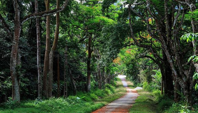 Trên dãy núi Ba Vì có Vườn quốc gia Ba Vì với hệ sinh thái phong phú đa dạng, có nhiều khu du lịch sinh thái như Khoang Xanh, Ao Vua, suối nước khoáng Tản Đà, các đền thờ. Dưới chân núi có hồ Đồng Mô, hồ Suối Hai.