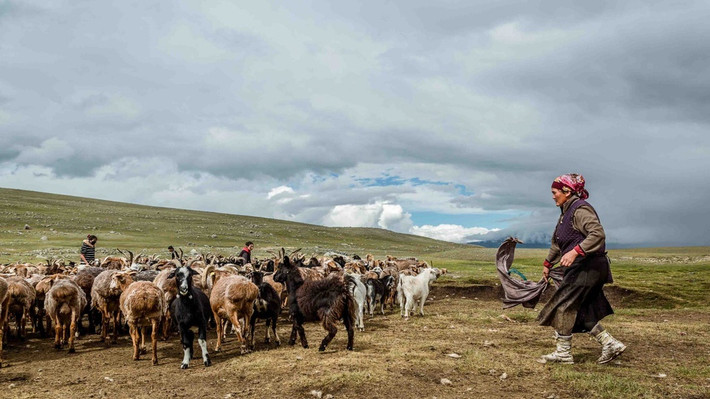 Người Kazakh lần đầu tiên di cư đến Mông Cổ vào những năm 1800. Họ là nhóm dân tộc lớn nhất ở phía Tây, chiếm 5% tổng số người Mông Cổ.