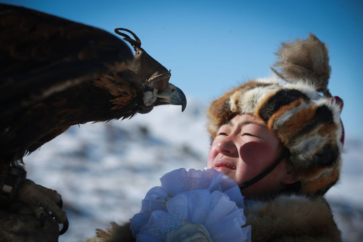 Người Kazakh nuôi đại bàng trong một ngôi nhà gần với nơi ở, để luyện tập cho những chuyến đi săn thường xuyên. Đại bàng sẽ được giữ bình tĩnh bằng cách bịt mặt và buộc chân cố định bởi sợi dây nhỏ. Những con chim dần quen được chủ cho ăn và trở nên trung thành.