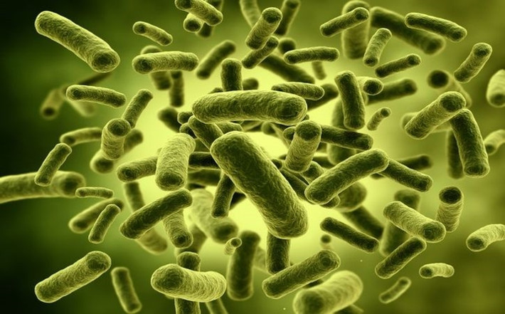 Sử dụng chế phẩm sinh học: Probiotics là vi khuẩn có lợi làm khỏe đường ruột, tăng cường hệ thống miễn dịch và cải thiện chức năng da.