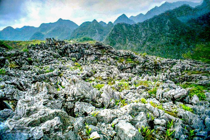 CVĐC toàn cầu UNESCO Cao nguyên đá Đồng Văn có đặc điểm nổi bật với những dải núi đá tai mèo sắc nhọn, những khe núi sâu và hẹp, những vách núi dựng đứng cao vút, các chóp núi như những kim tự tháp.