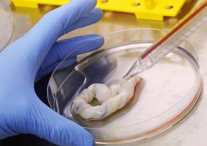 GS. Phan Toàn Thắng giải thích: Từ xưa, dây rốn vốn bị coi là một loại rác y học. Tuy nhiên, nhà khoa học sớm phát hiện ra, trong dây rốn có hàng tỷ tế bào gốc mà không cần can thiệp nuôi cấy. Dây rốn dễ được thu thập, xử lý, kiểm tra chất lượng và lưu trữ lại.