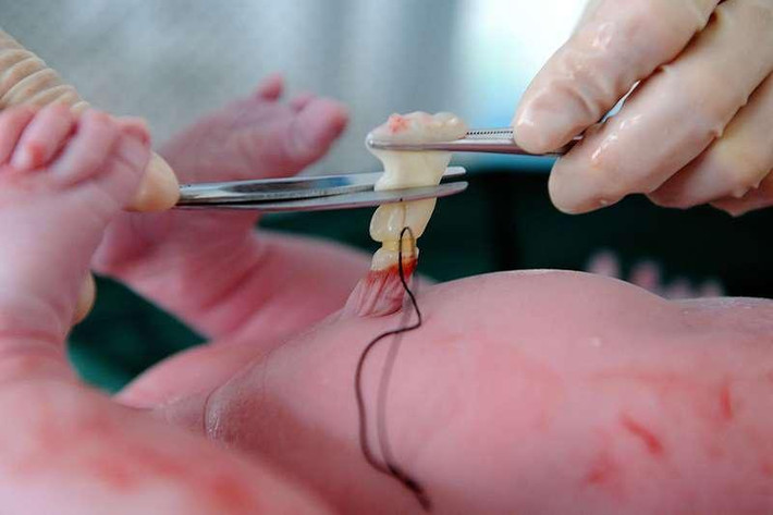 Ông cho biết, khi bắt tay nghiên cứu, ông gặp không ít khó khăn, đặc biệt là ở khâu hoàn thiện môi trường bảo quản và sát khuẩn dây rốn. Ông thường xuyên tắt điện thoại, gần như dành toàn bộ thời gian ở trong phòng thí nghiệm.