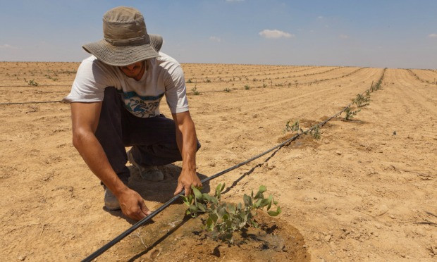 Nền tảng từ những người đi trước: Cách đây hơn 2000 năm, người dân Israel cổ đã tìm ra cách để tồn tại trong điều kiện khắc nghiệt. Họ phát triển hệ thống thu gom nước lũ chuyển tới những khu vực quanh đê hoặc những hố và rãnh lớn được đào thủ công để trồng cây.