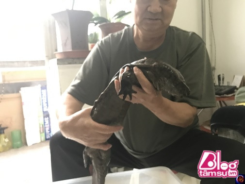 Một lần, người bạn cũ đến nhà chơi, ông cũng mang con vật cưng của mình ra ‘khoe’ như thường lệ.
