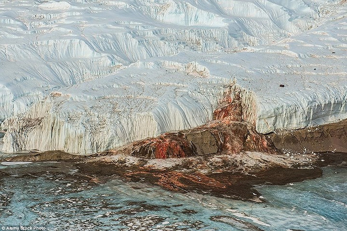 Hiện tượng "thác máu" ở hồ băng Taylor Glacier là do dòng nước giàu muối chứa nhiều sắt.