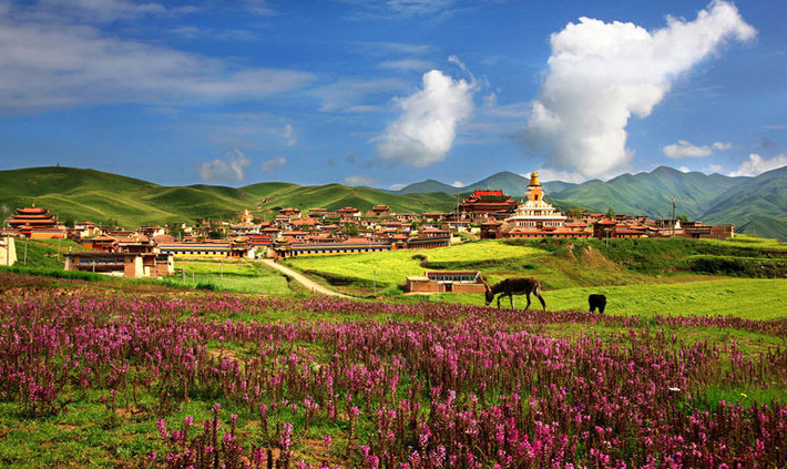 Bí ẩn Shambhala Shambhala, cũng được dịch là Shangri-La, có nghĩa là "vùng đất thuần khiết" trong tiếng Tây Tạng. Đó là huyền thoại của thế giới Phật giáo và là nơi sinh của giáo lý Kalachakra. Liên quan đến sự tồn tại của Shambhala, luôn có sự hoài nghi và các học giả Phật giáo Shambhala nghĩ rằng đó là một thiên đường hư cấu. Sách lịch sử Tây Tạng ghi lại rất chi tiết Shambhala. Tuy nhiên, nếu Shambhala, tồn tại hay không, vẫn là một bí ẩn.