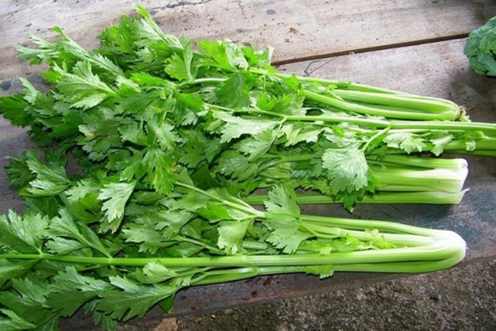 Rau mùi tây: Rau mùi tây chứa hàm lượng cao chất diệp lục, luteolin, flavonoid và vitamin C, đây là những hợp chất chống viêm hiệu quả một hợp chất để tránh hơi thở hôi. Ngoài ra, rau mùi tây cũng giúp phá vỡ các hợp chất hữu cơ lưu huỳnh, tạo thành tác nhân hiệu quả để chống lại chứng hôi miệng. (Ảnh: PLO)