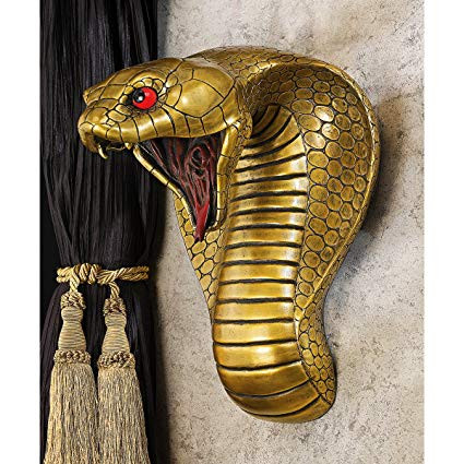 Mỗi lứa hổ mang Ai Cập đẻ 20 quả trứng, dài 5-6,4 cm trong tổ dưới dất. Thời gian ấp trứng kéo dài khoảng 2 tháng, sau đó rắn dài 23-33 cm nở ra. Chúng đạt đến sự trưởng thành về sinh sản sau 2-3 năm.