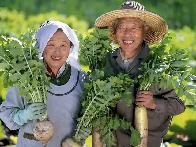 Ngay lối vào ngôi làng Ogimi có một tấm bia đá ghi: "Ở tuổi 80, bạn chỉ đơn thuần là một thanh niên. Ở tuổi 90, nếu tổ tiên mời bạn đến thiên đàng, hãy xin họ đợi đến khi bạn 100 tuổi, lúc này, bạn có thể cân nhắc điều đó".