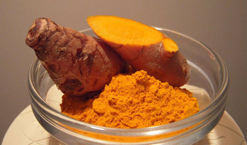 Dùng nghệ đúng cách không chỉ giúp bạn hoàn thiện vẻ đẹp mà còn góp phần tăng cường sức khỏe vật nuôi. Nghiên cứu được thực hiện bởi Trung tâm Ung thư Động vật (Đại học Colorado) khẳng định, chất curcumin trong nghệ rất tốt cho việc ngăn ngừa và điều trị ung thư ở chó, mèo.