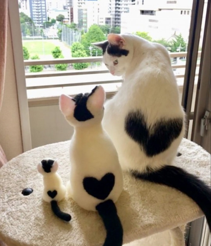Ba trái tim. (Nguồn: Bored Panda)