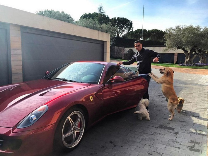 Ronaldo dắt… chó đi dạo cùng với siêu xe.