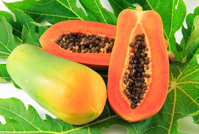Quả đu đủ Ăn đu đủ có giúp cơ thể tăng cường miễn dịch. Đu đủ là một loại trái cây rất đa dạng bổ sung nhiều mặt khác nhau của sức khỏe. Đu đủ là trái cây có hiệu quả cải thiện khả năng miễn dịch, xây dựng năng lượng và có lợi ích chống viêm.