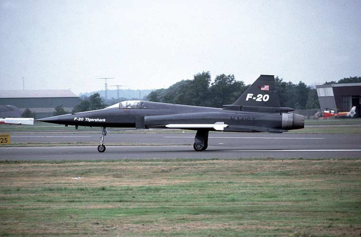 F-20 có chiều dài 14,4m, sải cánh 8,53m, cao 4,2m, trọng lượng rỗng 5,96 tấn, trọng lượng cất cánh tối đa hơn 7 tấn. Thân máy bay được chế tạo dùng nhiều vật liệu composite, một số bộ phận kim loại được tái thiết kế dùng sợi thủy tinh.