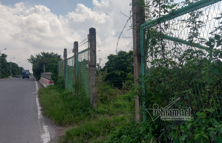 Dọc tuyến có hàng trăm đoạn hàng rào sắt bị người dân phá dỡ để vào trồng rau, nuôi bò...