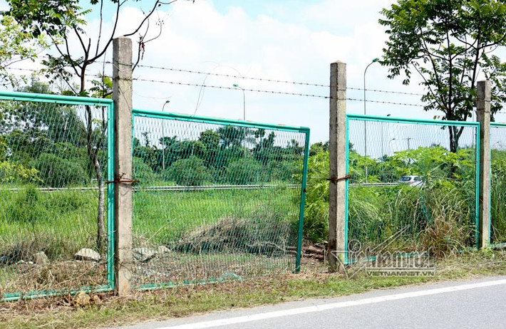 Dọc 2 bên tuyến đại lộ Thăng Long có dải đất lưu không rộng khoảng 20m nằm ở giữa làn đường chính và đường gom. Đó là quỹ đất dự phòng để mở rộng thêm đường sau này hoặc xây dựng tuyến đường sắt chạy song song. Ban quản lý hành lang tuyến đường đã trồng cây xanh và cỏ theo đúng kỹ thuật trên dải đất lưu không đó để vừa tôn thêm vẻ đẹp, vừa đảm bảo an toàn cho cả tuyến đường.Tuy nhiên, nhiều người dân đã phá hàng rào sắt vào cải tạo trồng các loại rau màu, cây ăn quả và chăn thả cả bò. Ảnh: Hàng rào sắt bị dỡ xuống để lấy lối vào