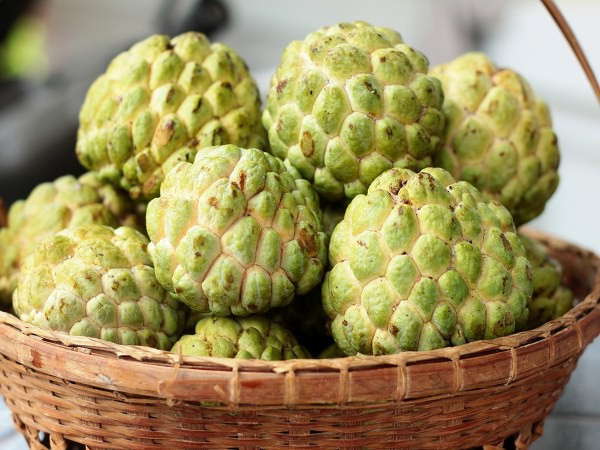 Na: Dù giàu vitamin C, canxi, sắt và chất xơ, na vẫn là loại quả mà người bệnh tiểu đường cần cẩn trọng khi ăn. Chỉ 100g na có thể chứa tới 23g carbs.