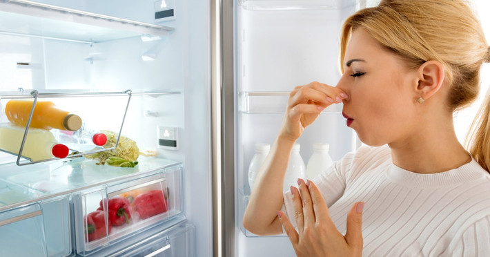 Chính việc để đồ sống lẫn đồ chín, không gói kín thực phẩm khi cất, cả tháng không vệ sinh tủ, bỏ đi các đồ không dùng đến… sẽ biến tủ lạnh thành ổ chứa vi khuẩn và gây mùi hôi. Ảnh: Internet