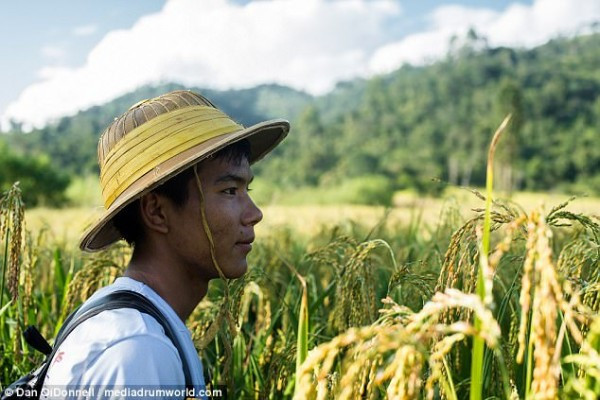 Người Chin sinh sống chủ yếu ở phía tây Myanmar, dọc theo bờ sông Laymro, bang Mrauk U in Rakhine và bang Chin.
