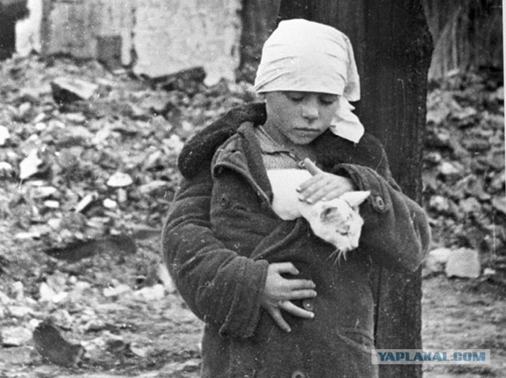 Một bé gái ủ ấm cho mèo cạnh ngôi nhà bị đạn bom tàn phá ở Smolensk trong tháng 10/1941.