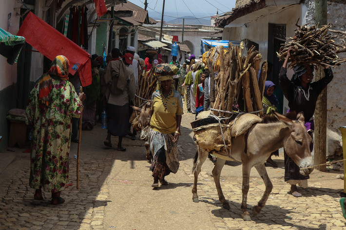 Phụ nữ Oromo đi đến thành phố Harar từ vùng nông thôn xung quanh để bán củi. Sau đó, mua lương thực và hàng gia dụng cho gia đình. Ảnh: Al Jazeera