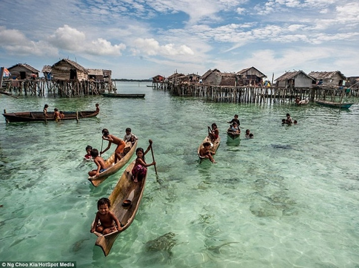 Người Bajau có thể lặn ở độ sâu tới 20 m để săn cá, tìm ngọc trai hay hải sâm.