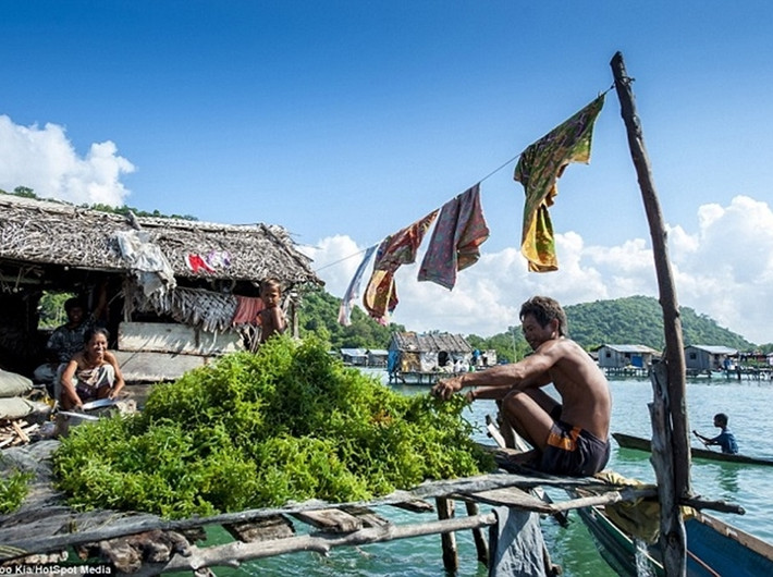 Thỉnh thoảng cư dân Bajau cùng vào đất liền để bán hải sản và mua sắm những vật dụng cần thiết hoặc sửa thuyền.