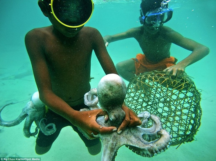Thay vì học chữ, trẻ em Bajau được dạy cách bắt cá, bạch tuộc, tôm ... và sống nhờ vào biển.