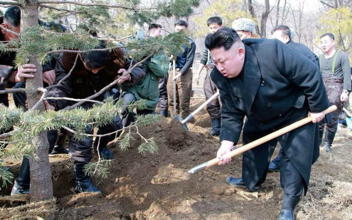 Lãnh đạo Triều Tiên Kim jong-un trồng cây để khuyến khích việc bảo vệ rừng. Ảnh: KCNA