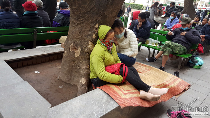 Đến buổi trưa 10/1, nhiều người phải vạ vật ở gốc cây