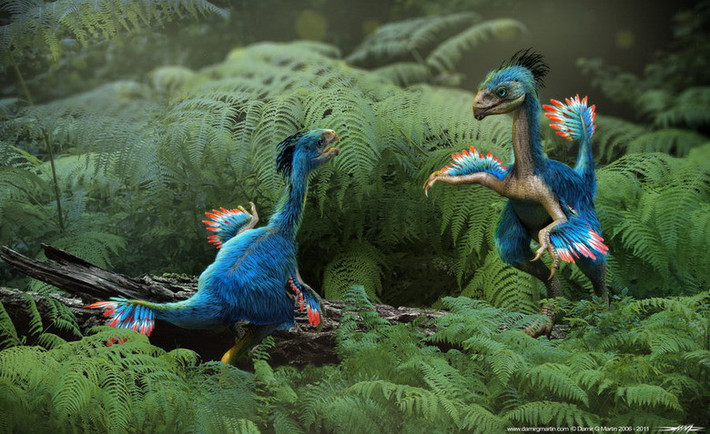 Caudipteryx (có nghĩa là "đuôi lông vũ") là loài khủng long thuộc chi ăn thịt có kích thước bằng con công sống trong giai đoạn Aptian của kỷ Phấn trắng sớm (khoảng 124 triệu năm trước). Toàn than của loài khủng long này được lông vũ bao phủ.