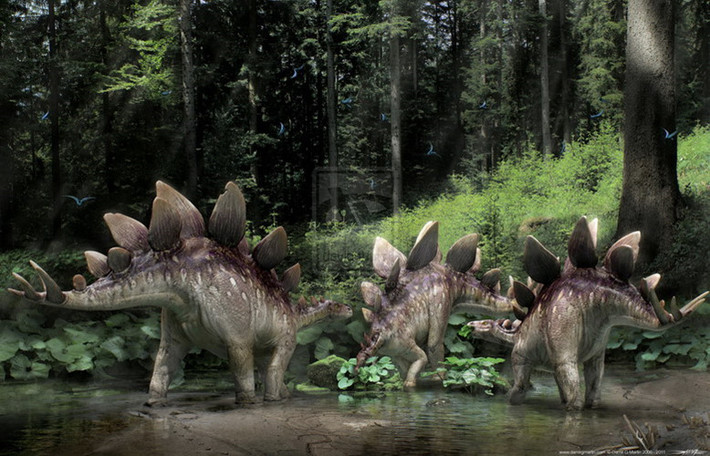 Stegosaurus (thằn lằn gai) là một chi khủng long phiến sừng thuộc cận bộ Stegosauria, sống từ Hậu Jura (khoảng 150 triệu năm trước) ở miền Tây Bắc Mỹ ngày nay. Loài khủng long dài 9m này có hai bộ não lớn bằng quả táo, một ở trên đầu và một nằm ở phần chính của đuôi. Do những đuôi nhọn và bọc giáp, Stegosaurus là một trong những khủng long dễ nhận ra nhất.