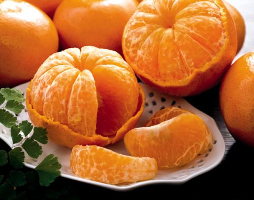 Đặc biệt, cần tránh ăn quýt do vỏ quýt có thể chữa ho, long đờm nhưng thịt quýt lại có tác dụng ngược lại. Trong thịt quýt chứa cellulite khiến cơ thể sinh nhiệt, sản sinh ra nhiều dịch đờm hơn.