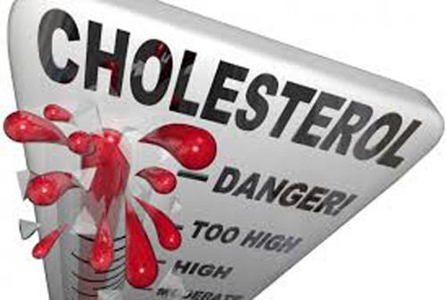 Cụ thể vỏ chuối chứa nhiều chất xơ nên khi ăn vào góp phần hạ cholesterol trong cơ thể, khiến bạn ít đối diện với nguy cơ đau tim hoặc đột quỵ. Dù có vị chát song bạn hãy cố thử một chút bởi chất xơ ở vỏ chuối rất dễ hòa tan. Thậm chí nó được đánh giá cao hơn trong việc cung cấp chất xơ hòa tan so với việc ăn phần chuối bên trong.