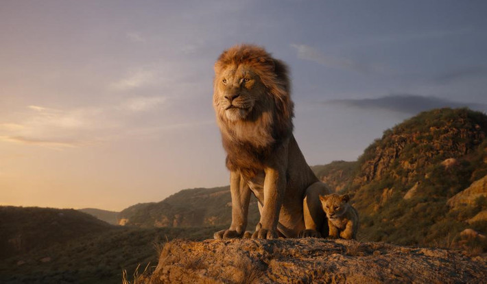 Tên vua sư tử Simba xuất phát từ ngôn ngữ Swahili (ngôn ngữ của dân tộc sinh sống ở khu vực dọc bờ biển Ấn Độ Dương), nghĩa là "sư tử". Các nhân vật như Scar, Mufasa, Nala, Sarabi hay Sarafina đều là loài sư tử có nguồn gốc từ châu Phi. Trong phim, mỗi con vật thể hiện một đặc tính đặc trưng của loài sư tử châu Phi trong thực tế gồm yêu thương đồng loại, trung thành, hung dữ hay lười biếng...