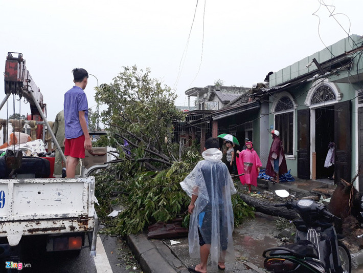Các cây đổ kịp thời được cơ quan chức năng điều xe cẩu tới thu dọn và đưa đi nơi khác. Theo thống kê, hơn 500 ngôi nhà ở thị xã Hương Thủy (Thừa Thiên - Huế) bị tốc mái và hàng trăm cây lớn bật gốc. Ảnh: Điền Bá Quang.