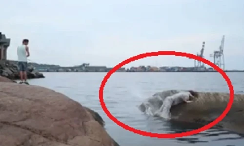 Trai trẻ đập mặt vào đá vì thích thể hiện