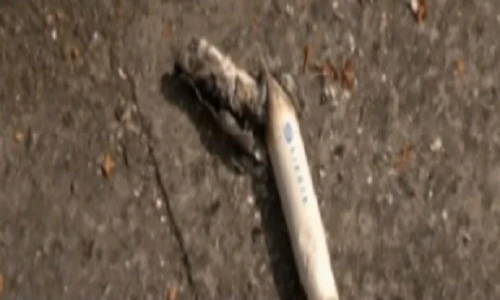 Chế tạo pin từ đầu lọc thuốc lá đã qua sử dụng