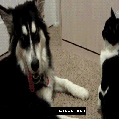 "Đừng có mà sàm sỡ chị"