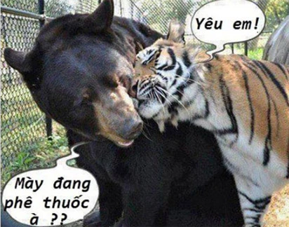 Khi động vật tỏ ra “nguy hiểm” (P10)