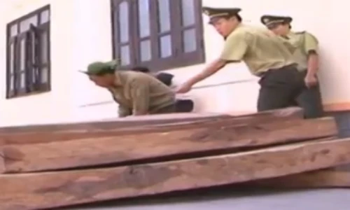 113 Online 16/8: Nghi vấn kiểm lâm nhận hối lộ 100 triệu