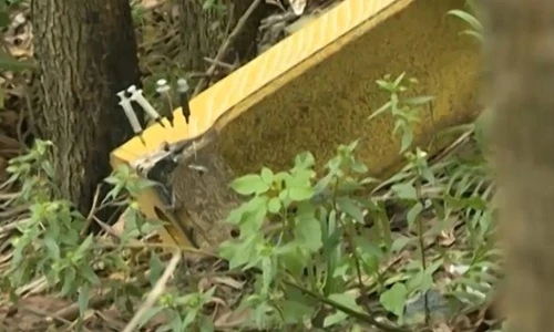 Lạnh người xem con nghiện “đánh dấu địa bàn” ở Thái Nguyên