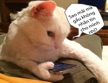 Ảnh cười Facebook: Chờ đợi một tin nhắn