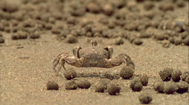 "Chào buổi sáng".
