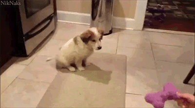 Cú lộn quá đà.