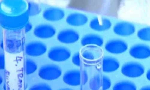 Lần đầu tiên mang thai hộ được đưa vào văn bản luật