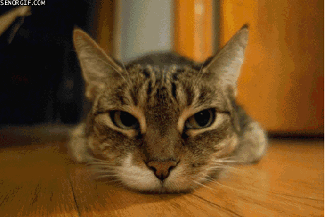 Thân hình biến đổi