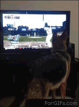 "Suýt nữa thì đi chiếc tivi".